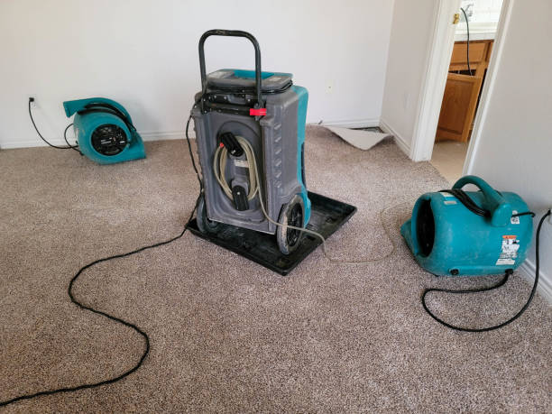 Best Local water damage restoration  in Abilene, KS