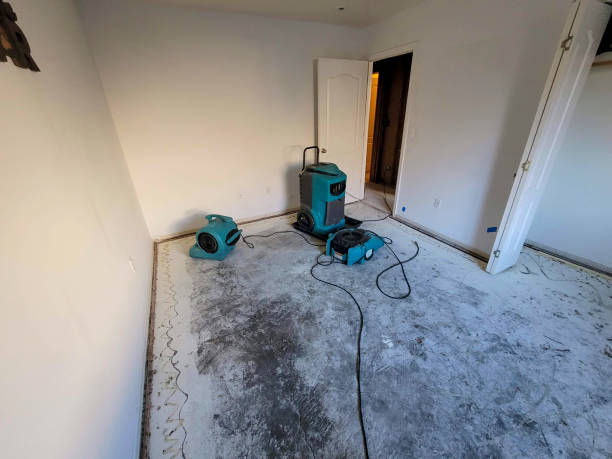 Best 24-hour water damage restoration  in Abilene, KS