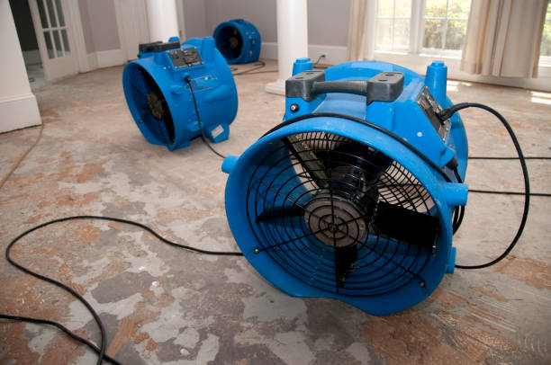 Best Professional water damage repair  in Abilene, KS