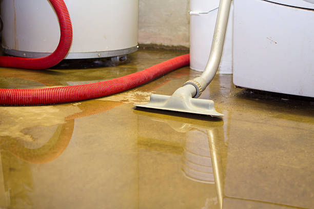 Best Carpet water damage restoration  in Abilene, KS