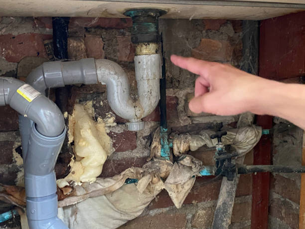 Best Mold removal after water damage  in Abilene, KS